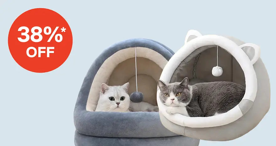 Upto 38% Off on Comfy Cat Beds