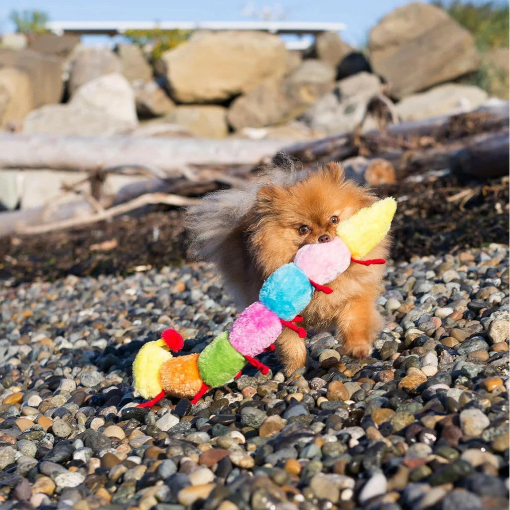 ZippyPaws Caterpillar Deluxe with Blasters Dog Toy - 30in