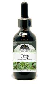 Catnip