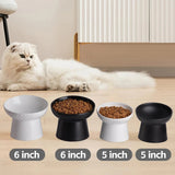Ceramic Raised Tilted Cat Bowls Set of 2, Elevated Porcelain Feeder