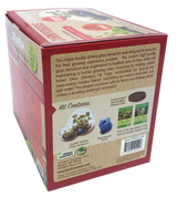 Carnivorous Growarium Meat-Eating Seed Terrarium Kit