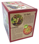 Carnivorous Growarium Meat-Eating Seed Terrarium Kit
