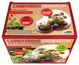 Carnivorous Growarium Meat-Eating Seed Terrarium Kit