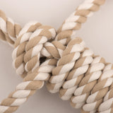 Birch Bunny X-Brace™ Plush Dog Toy
