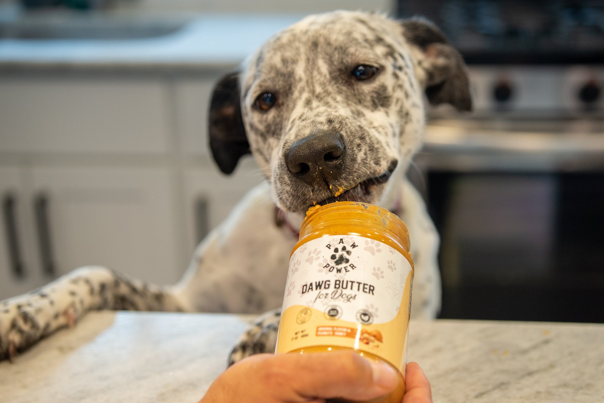 Dawg Butter Original Flavor