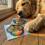 Rescue Retriever® Reflective Pet Alert Safety Sticker 2 Pack | Pets Inside Fire Rescue Decal | Waterproof UV Vinyl | Window Door Sign | Designed by a Firefighter