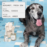 DedCool Vegan Pet Shampoo 01 Taunt, Hypoallergenic Tear-Free Wash 16.9 oz
