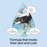 DedCool Vegan Pet Shampoo 01 Taunt, Hypoallergenic Tear-Free Wash 16.9 oz