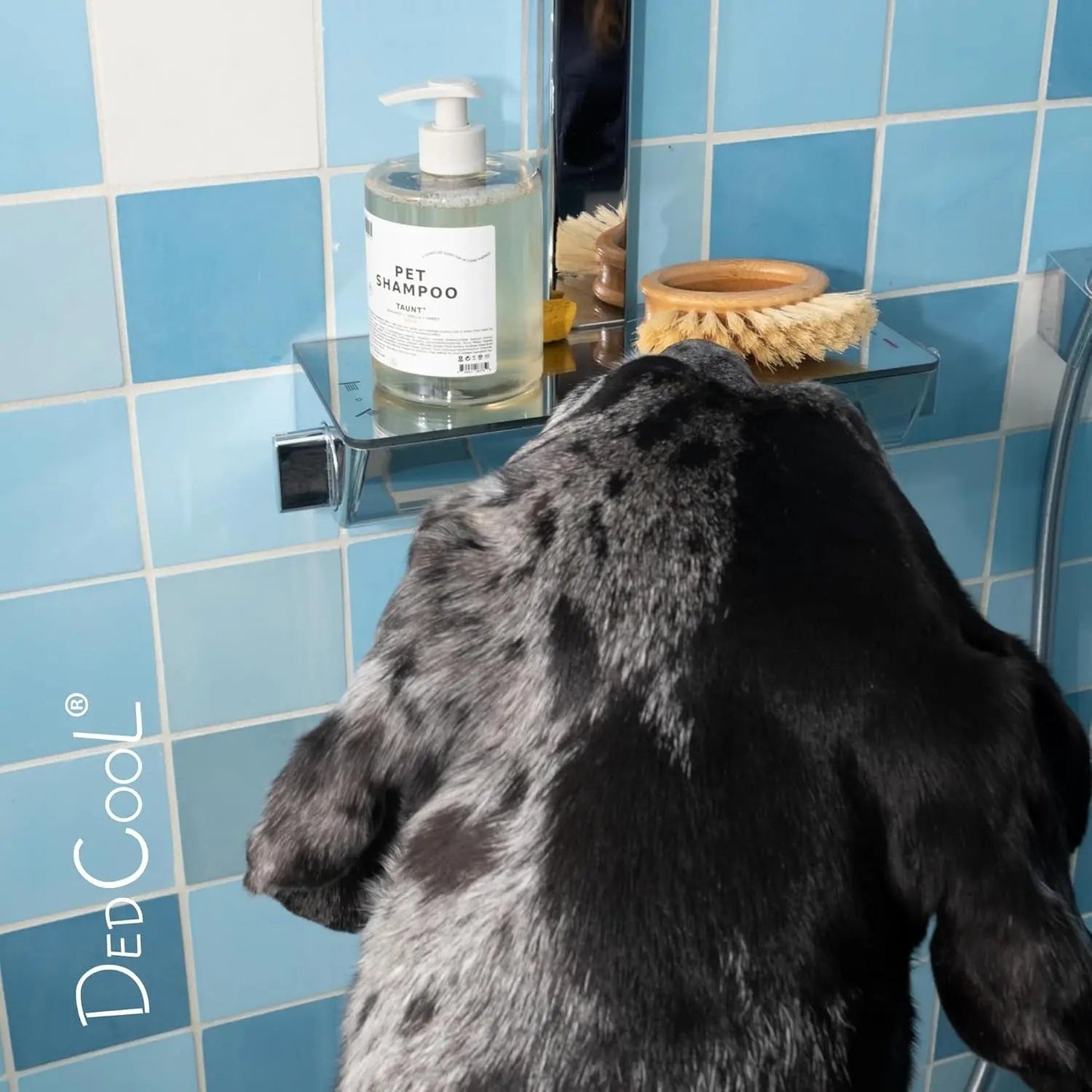 DedCool Vegan Pet Shampoo 01 Taunt, Hypoallergenic Tear-Free Wash 16.9 oz