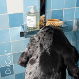 DedCool Vegan Pet Shampoo 01 Taunt, Hypoallergenic Tear-Free Wash 16.9 oz