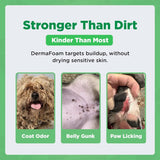 Dermafoam Chlorhexidine Dog Shampoo for Itch Allergies Hot Spots 16.9oz