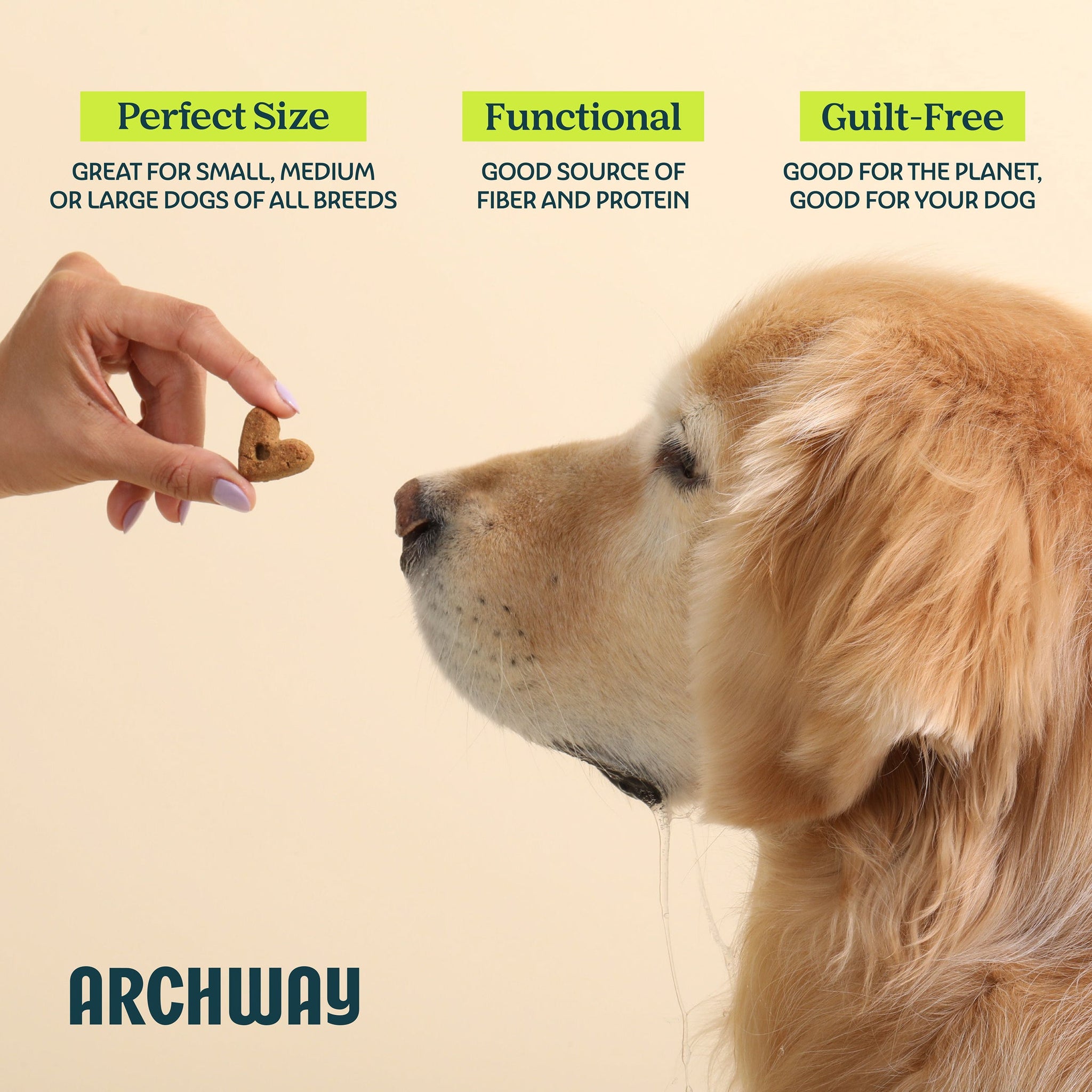 Digestive Health