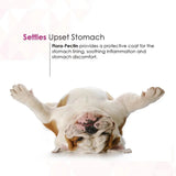 Dog Cat Anti Diarrhea Paste Probiotic Kaolin Pectin Digestive Support