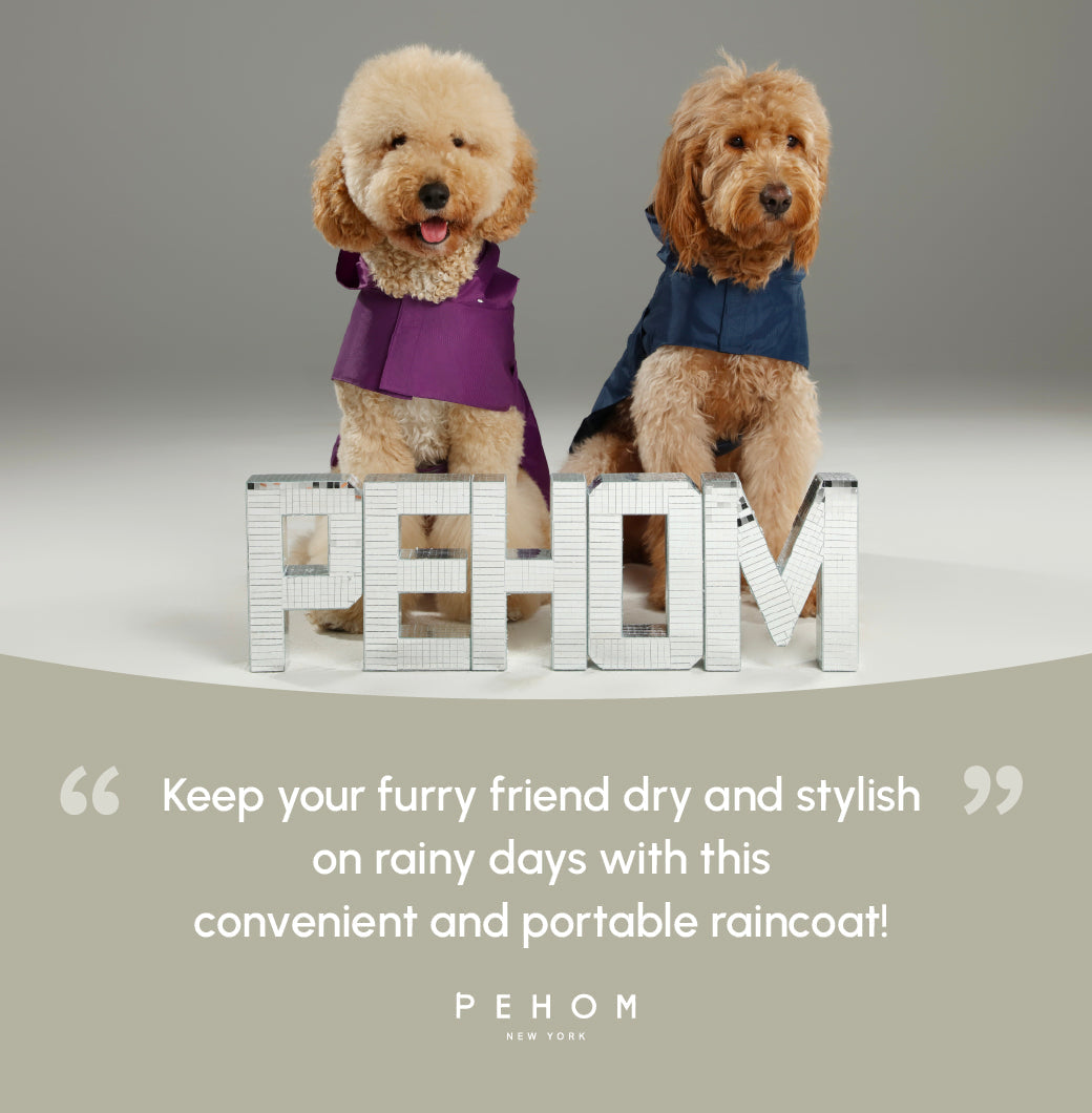 Capsule Raincoat - Blue