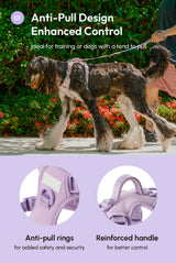 NO PULL ACTIVE  PET HARNESS - MINT PURPLE