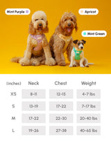 NO PULL ACTIVE  PET HARNESS - APRICOT