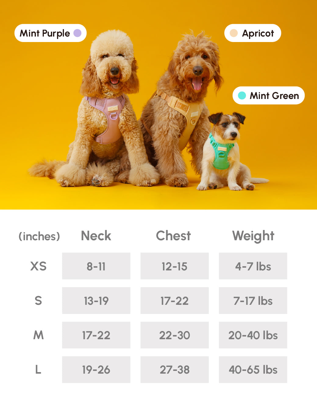 NO PULL ACTIVE  PET HARNESS - MINT GREEN