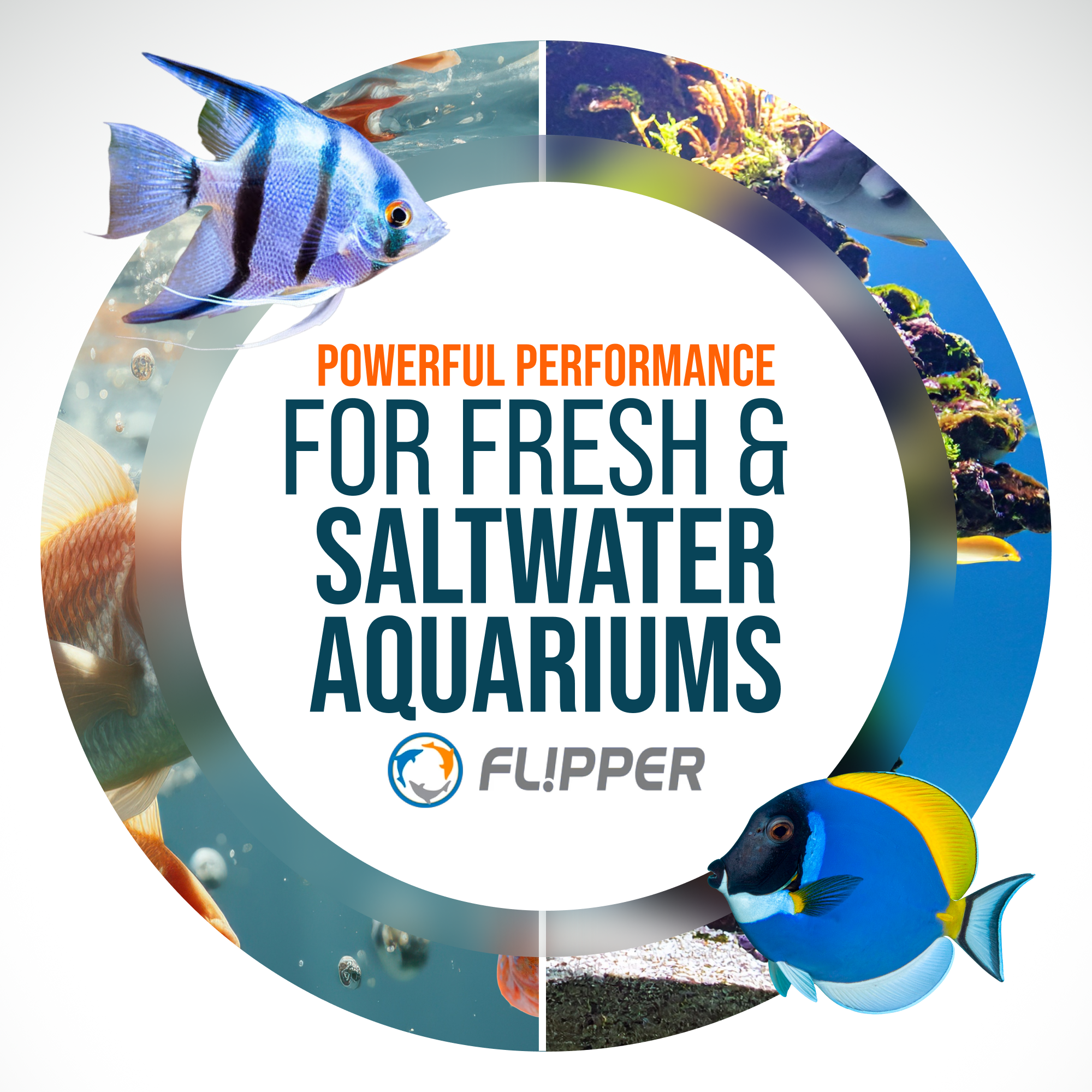 Flipper Edge Limited Edition Clownfish 2 in 1 Floating Magnetic Aquarium Algae Cleaner (MAX)