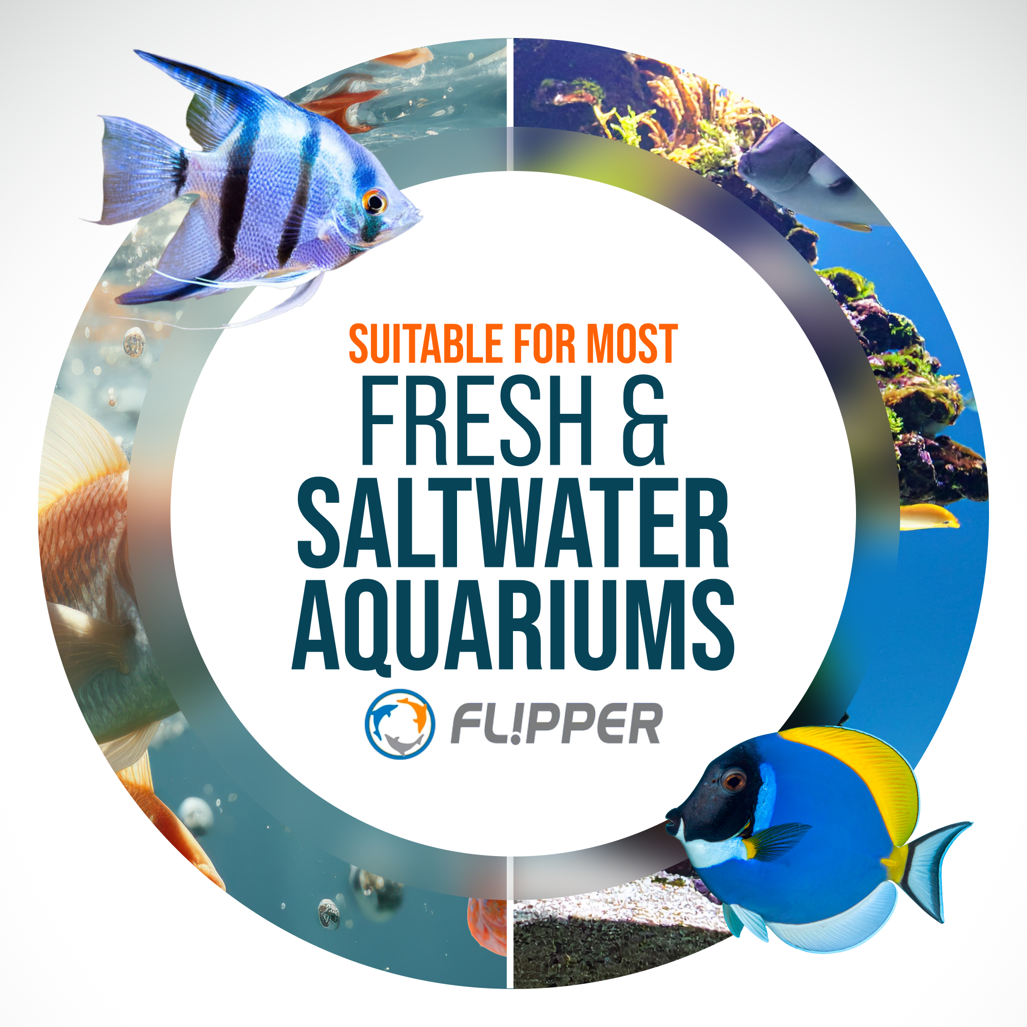 Flipper NANO FLOAT 2 in 1 Magnetic Aquarium Algae Cleaner