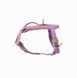 Fairy Heritage Harness