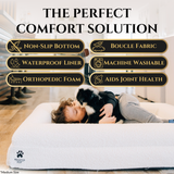 Luxury Orthopedic Dog Bed