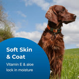 Fresh ’N Clean Dog Shampoo & Conditioner Set – Classic Fresh Scent (18oz)