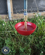 Little Giant Baby Chick Automatic Poultry Fount 1.5 Pint Shallow Waterer