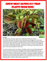 Carnivorous Growarium Meat-Eating Seed Terrarium Kit