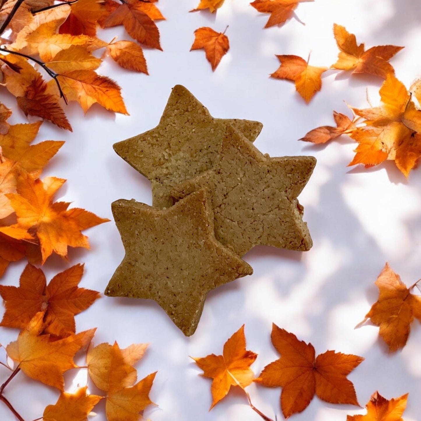 Star Spice Treat