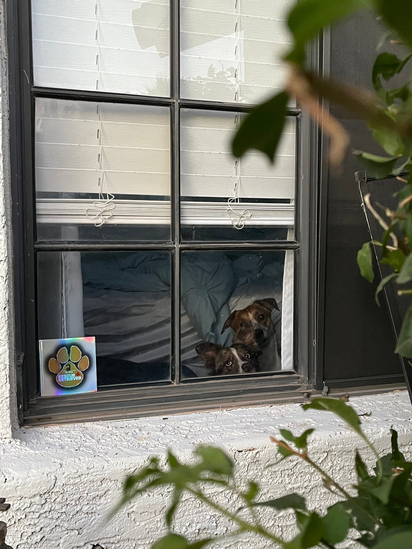Rescue Retriever® Reflective Pet Alert Safety Sticker 2 Pack | Pets Inside Fire Rescue Decal | Waterproof UV Vinyl | Window Door Sign | Designed by a Firefighter