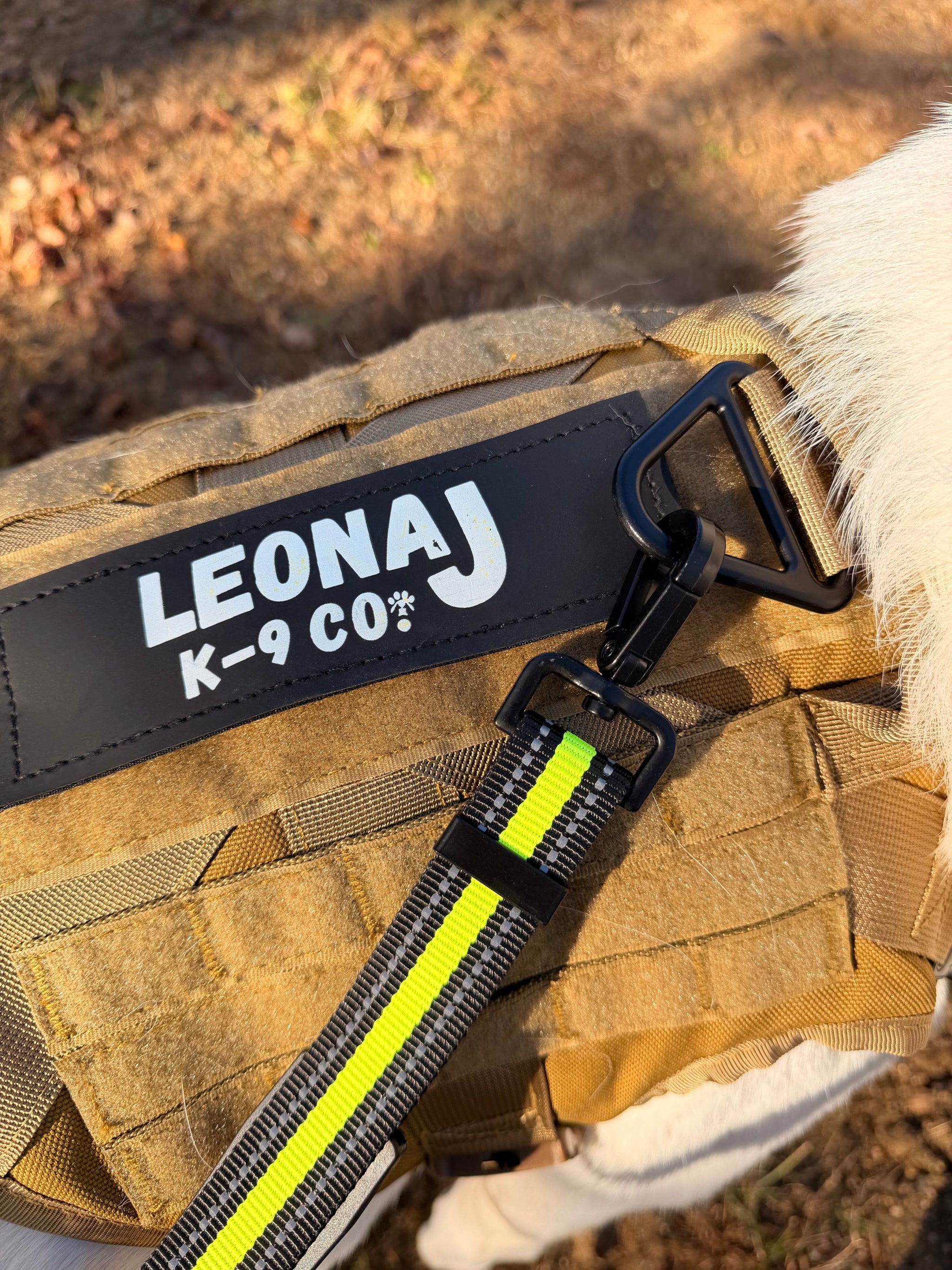 Hands-Free Running/Hiking Bungee Leash