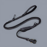 Quick-Release Frog Clip Bungee Leash - (Absorbs Pulls)