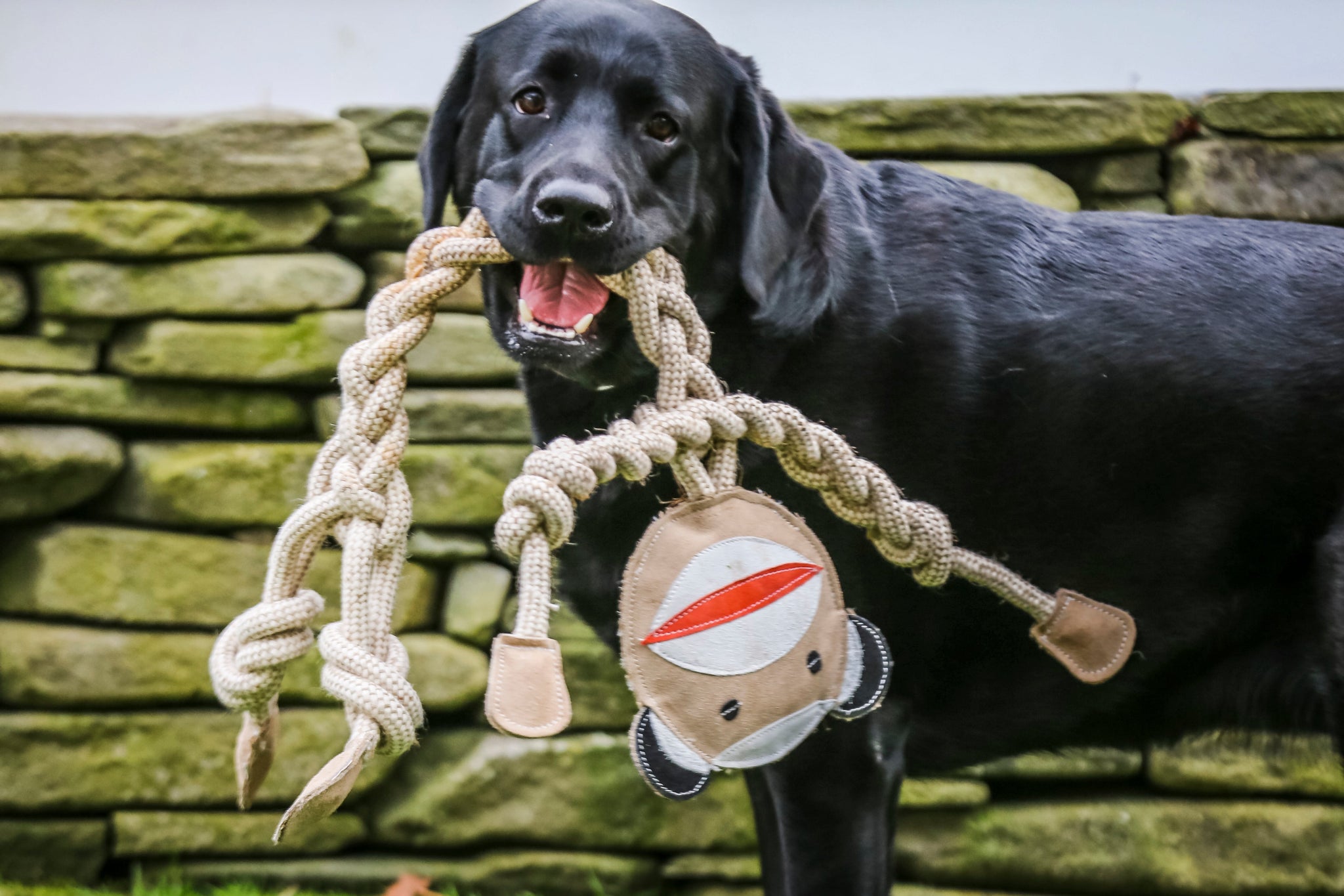 Natural Rope Knottie® Dog Toys, 3 Pack, XL (16mm rope diameter)