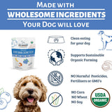 Dog Mamma's Organic Berry Banana Coconut Oven Baked Dog Treats 6oz