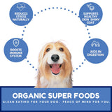 Dog Mamma's Organic Berry Banana Coconut Oven Baked Dog Treats 6oz
