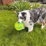 Kong Flexball Sport Ball XL