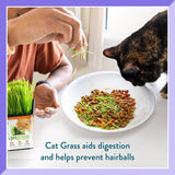 Pet Greens Organic Cat Grass