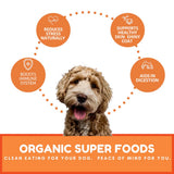 Dog Mamma's Organic Pumpkin Snaps Recipe Oven Baked Dog Treats (6oz)