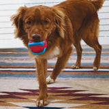 Kong Jaxx Brights Tug w/Ball Medium
