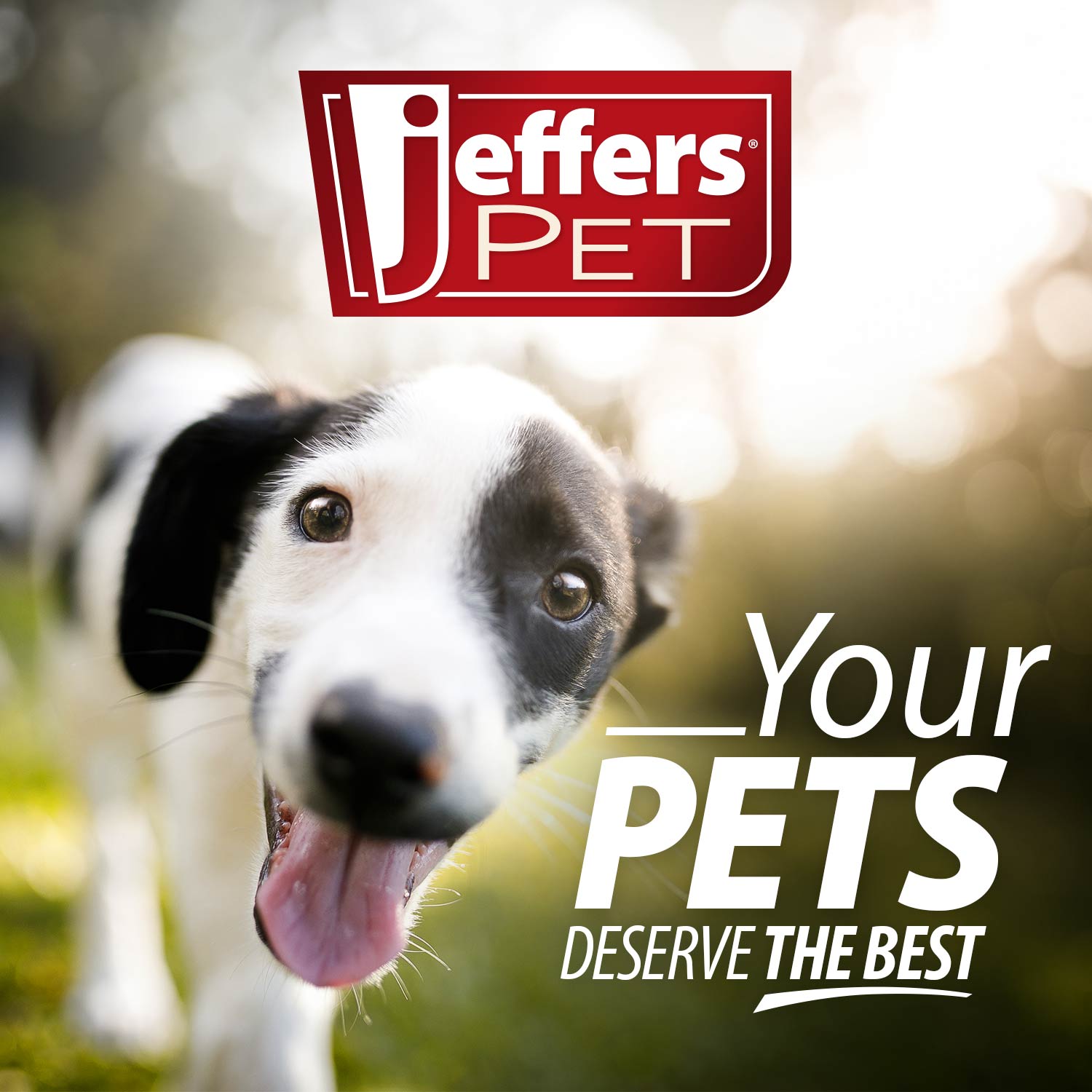 Jeffers Cactus Natural Rubber Dental Chew Toy for Dogs for Healthy Chewing Habits