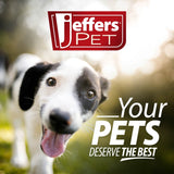 Jeffers Leaf Shaped Natural Rubber Dog Chew Toy with Dental Benefits and Vanilla Scent for Medium Chewers