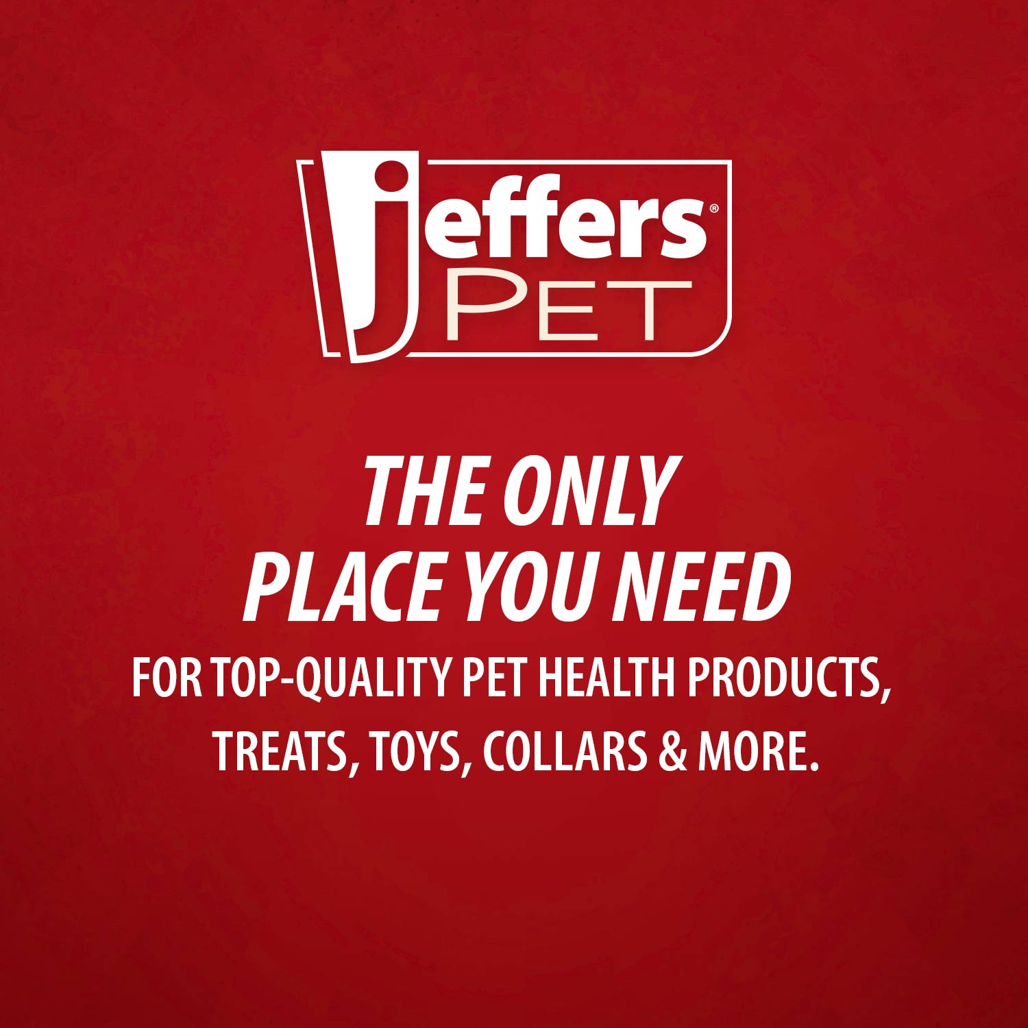 Jeffers Wavy Ring Tugger Natural Rubber Dog Chew Toy for Tug, Fetch & Dental Support