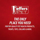 Jeffers Red Chameleon Natural Eco-Friendly Rubber Dental Dog Chew Toy for Medium Chewers