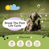 Kin+Kind Flea & Tick Dog Shampoo – Plant-Based Lavender Treatment, 12 oz