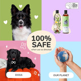 Kin+Kind Flea & Tick Dog Shampoo – Plant-Based Lavender Treatment, 12 oz