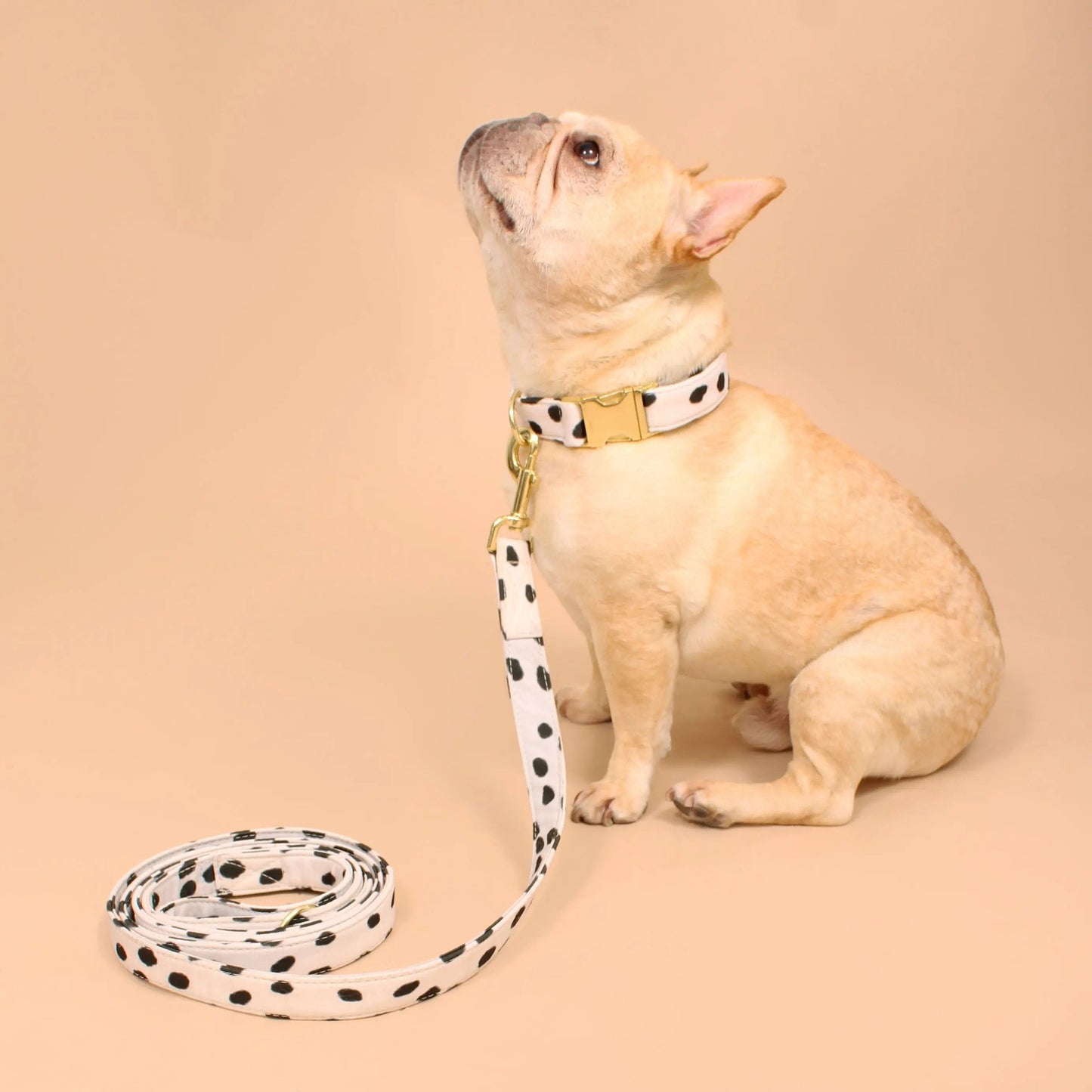 Manhattan Recycled Dog Leash