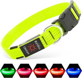 LED Dog Collar Rechargeable Light-Up Safety Collar for Night Walking (colors)