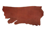 Leather Leash