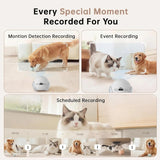 Movable Pet Camera Robot 1080P Two Way Audio Night Vision Auto Recharge