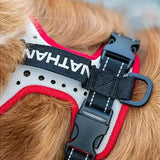 Nathan reflective dog harness